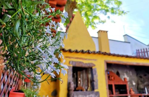 Angra do Heroismo House | O Refúgio - Espaço natural, amplo e privado