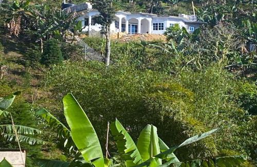 Penlyne Castle Bed & Breakfast | O-T On the rise