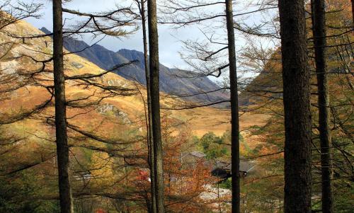 Clachaig House | Oak Tree Lodge