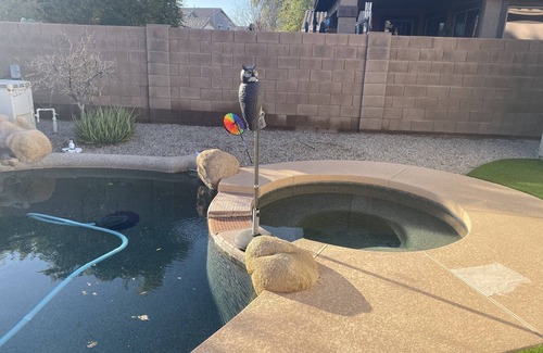 San Tan Valley House | Oasis at Johnson Ranch