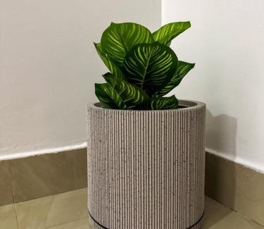 Dakar Apartment | Oasis Dakar