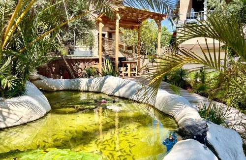 Eilat Apartment | OASIS GALLERY
