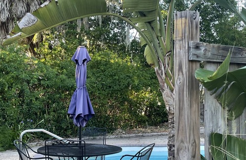 Tarpon Springs House | Oasis in Tarpon Springs