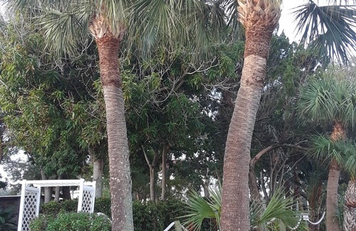 Port Canaveral Villa | Oasis on the Space Coast - 3 bed 2 Bath Villa 3 blocks to the Beach