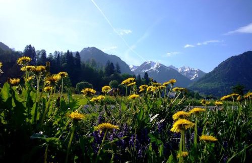 Oberstdorf Apartment | Oberstdorfer Bergwelt 218