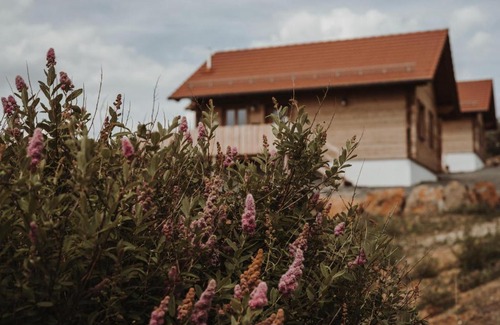 Schotten House | Oberwald Chalets Ferienhaus 4