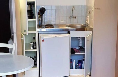 4th Arrondissement Apartment | Observatory Studio furnished with balconies overlooking quiet garden