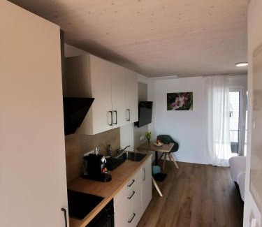 Lindau Apartment | Obstbau Apartment am See