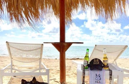 Cap Cana Marina Apartment | Ocean View 2 Bedroom Condo with Jacuzzi