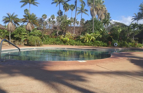 Maunaloa Condo | Ocean view fully equipped condo rental/Car for additonal price