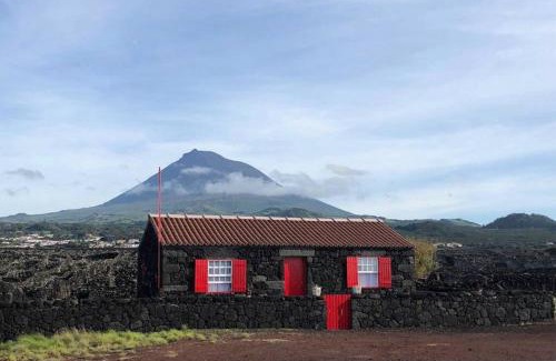 Madalena House | Ocean view in UNESCO Heritage Site
