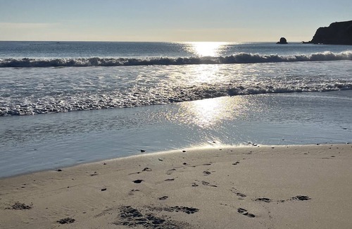 Anchor Bay Apartment | Ocean View Oasis, hot tub and beach access.