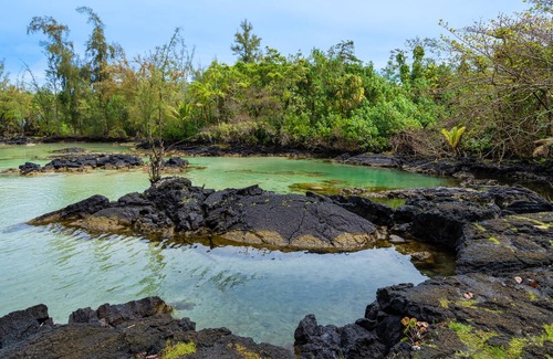 Hilo Condo | Oceanfront Condo w/ Shared Pool & Garden Views, Free WiFi, & Washer/Dryer
