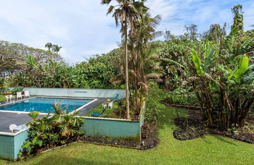 Hilo Condo | Oceanfront Condo w/ Shared Pool & Garden Views, Free WiFi, & Washer/Dryer