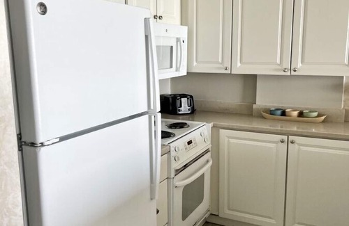 Myrtle Beach Condo | OceanFront Condo with Dolphin Views - 2bd/2ba Myrtle Beach 11801
