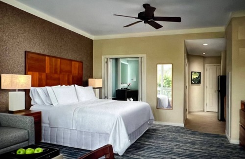 Kaanapali Resort | Oct 12-19 2025 - Feb 20-27 March 20-27 April 4-11 July 3-10 & 11-18 2026