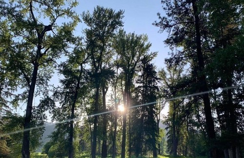 Beaverdell RV Rental | Off The Grid R&R On The Kettle Valley River
