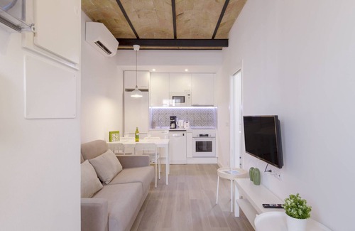 Collblanc y La Torrassa Apartment | OLA LIVING CALID ATTIC