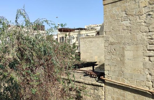 Baku Old Town House | Old city experience