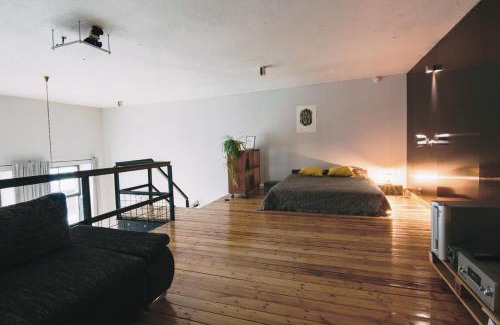 Centrs Apartment | Old factory loft aprtment L39