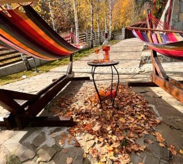 Sinaia Villa | Old Mark's House Sinaia