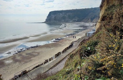 Shanklin Apartment | Old Shanklin Guest House