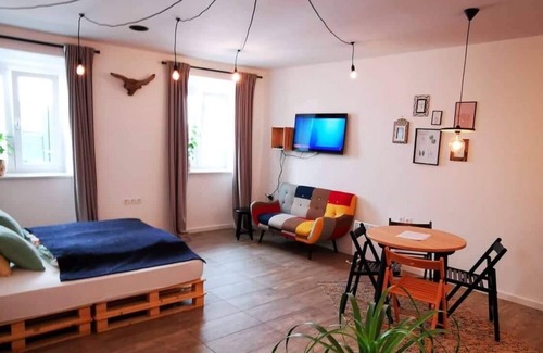 Ljubljana Old Town Apartment | Old ToWn Ljubljana Studio *Spacius/Cozy/Comfortable*