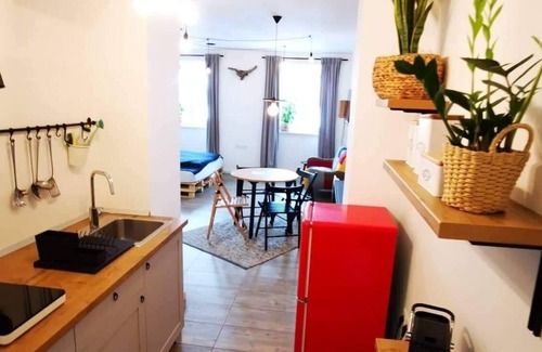 Ljubljana Old Town Apartment | Old ToWn Ljubljana Studio *Spacius/Cozy/Comfortable*