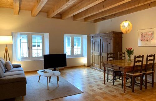 Rapperswil Apartment | Old Town Loft & Central Location in Rapperswil