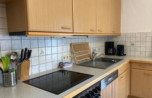 Leutasch Apartment | "Old wood" apartment with balcony - Öfnerhof