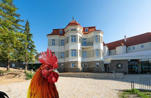 Znojmo Hotel | OldCock Castle