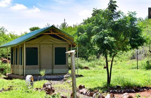 Kajiado County Other | Oldonyo Musa Camp Amboseli