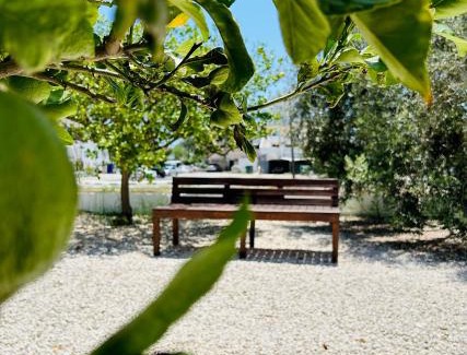 Pyla Apartment | Olive Bloom