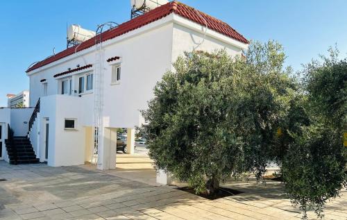 Pyla Apartment | Olive Bloom