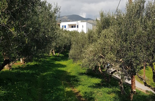 Agia Galini Villa | Olive Grove Serenity, family-friendly villa with private pool and lush garden