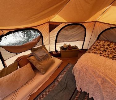 Quartu Sant'Elena Other | Olive Tent - In Our Garden
