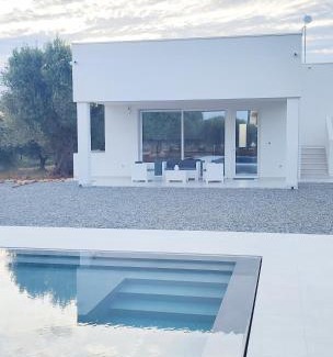 Pozzo Faceto Villa | Olive trees house