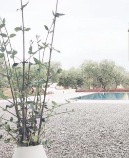 Pozzo Faceto Villa | Olive trees house