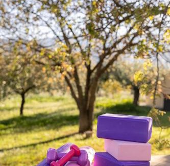 Litochoro Villa | Οlives and Vines all seasons villa