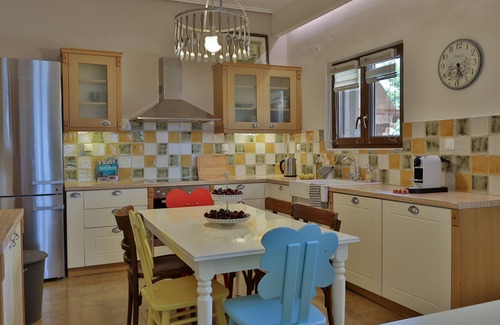 Litochoro Villa | olives and vines all season villa