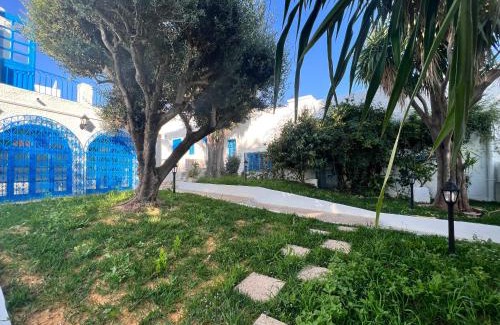 Sidi Bou Said Apartment | OLIVIA Guest House (Eya & Abbes)
