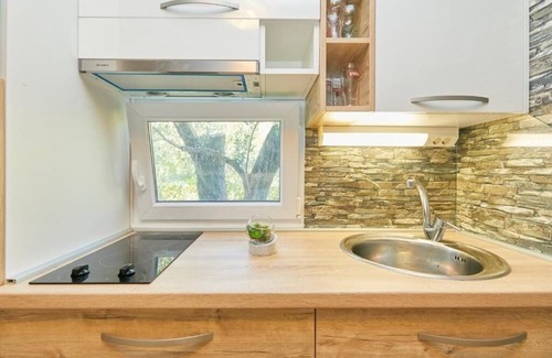 Mljet Apartment | One bedroom apartment with terrace Babino Polje, Mljet (A-22319-c)