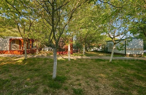 Mljet Apartment | One bedroom apartment with terrace Babino Polje, Mljet (A-22319-c)
