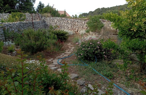 Veli Losinj Apartment | One bedroom apartment with terrace Veli Lošinj, Lošinj (A-24371-a)