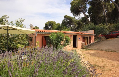 Veli Losinj Apartment | One bedroom apartment with terrace Veli Lošinj, Lošinj (A-8029-a)