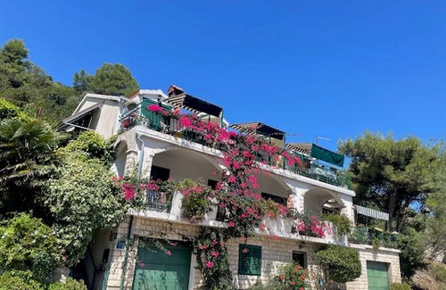 Zaklopatica Apartment | One bedroom apartment with terrace and sea view Zaklopatica, Lastovo (A-13214-a)
