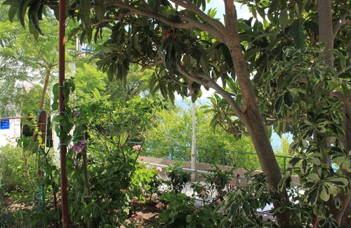 Brist Apartment | One bedroom apartment near beach Brist, Makarska (A-505-b)