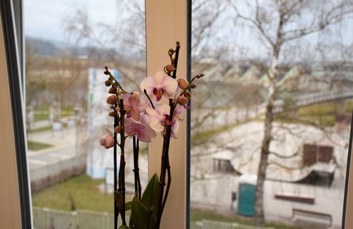 Brezice Apartment | One Bedroom Apartment 6