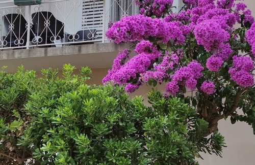 Trpanj Apartment | One bedroom apartment with balcony Trpanj, Pelješac (A-14309-a)