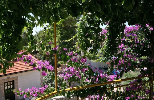 Ivan Dolac Apartment | One bedroom apartment with terrace Ivan Dolac, Hvar (A-4584-b)